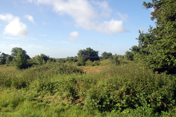 The site of the Sand House June 2008